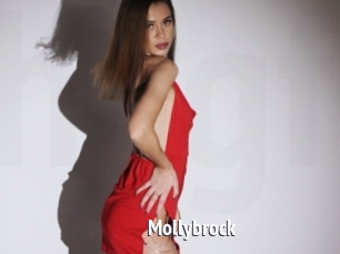 Mollybrock