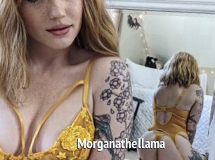 Morganathellama