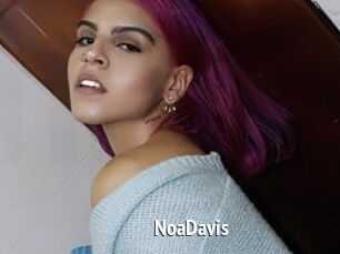 NoaDavis