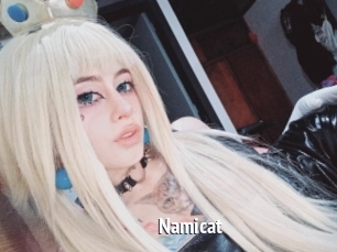 Namicat