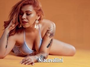 Niacavallini