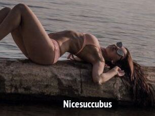 Nicesuccubus