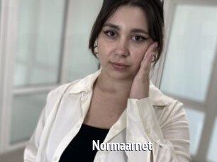 Normaarnet