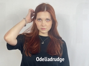 Odeliadrudge