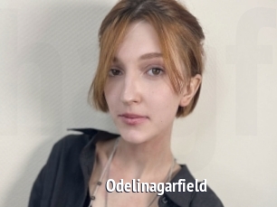 Odelinagarfield