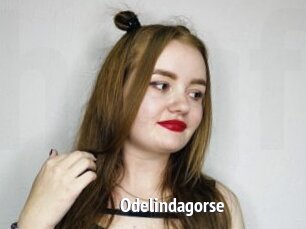 Odelindagorse