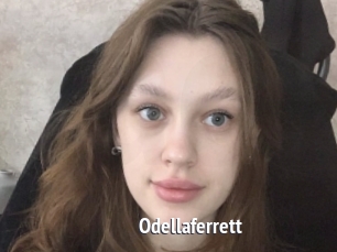 Odellaferrett