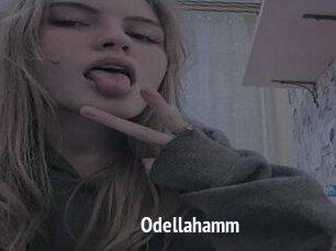 Odellahamm