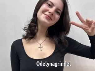 Odelynagrindel