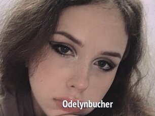 Odelynbucher