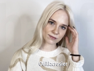 Odiliacrosier