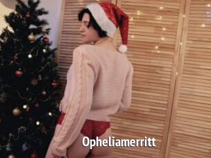 Opheliamerritt