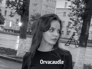 Orvacaudle