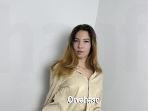 Orvahase