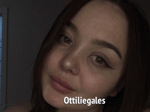 Ottiliegales