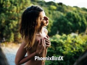 PhoenixBirdX