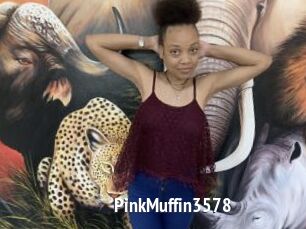 PinkMuffin3578