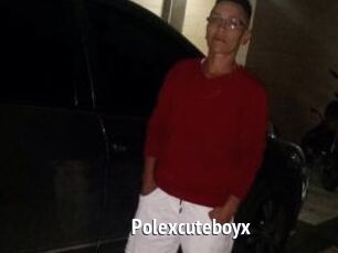 Polexcuteboyx