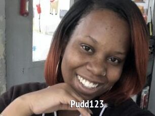 Pudd123