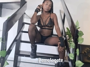 Pamelagate