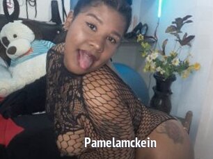 Pamelamckein