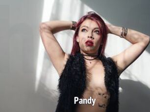 Pandy