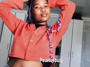 Peanutbug