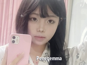 Penegemma