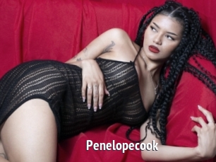 Penelopecook