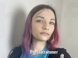 Petulacrammer