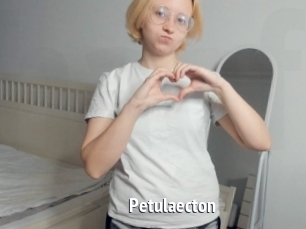 Petulaecton