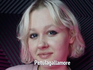 Petulagallamore