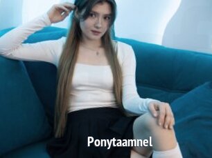 Ponytaamnel