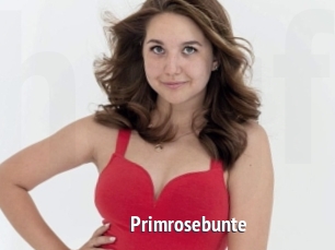Primrosebunte