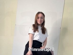 Primrosecapell