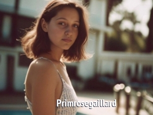 Primrosegaillard