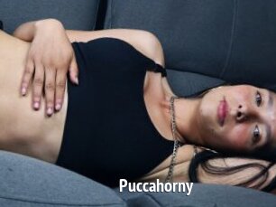 Puccahorny