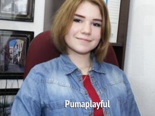 Pumaplayful