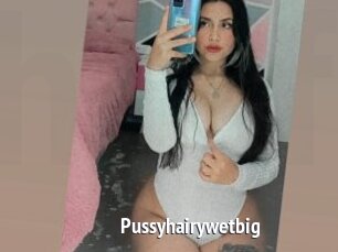 Pussyhairywetbig