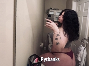 Pytbanks