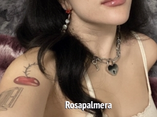 Rosapalmera