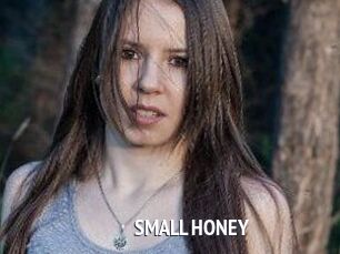 SMALL_HONEY