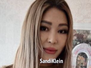 SandiKlein