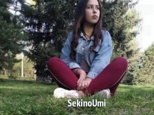 SekinoUmi