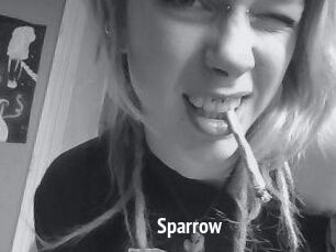 Sparrow