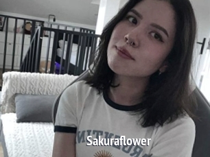 Sakuraflower