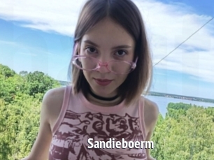 Sandieboerm