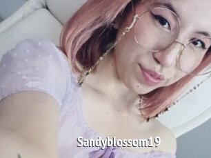Sandyblossom19