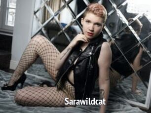 Sarawildcat