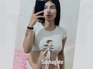 Sashagate